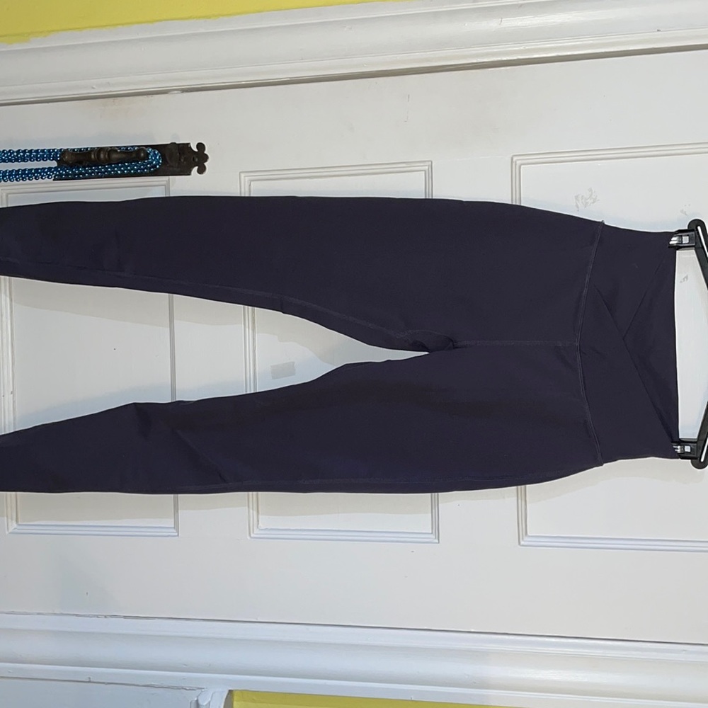 Alphalete surface path leggings